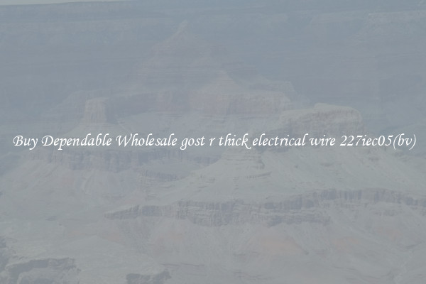 Buy Dependable Wholesale gost r thick electrical wire 227iec05(bv)
