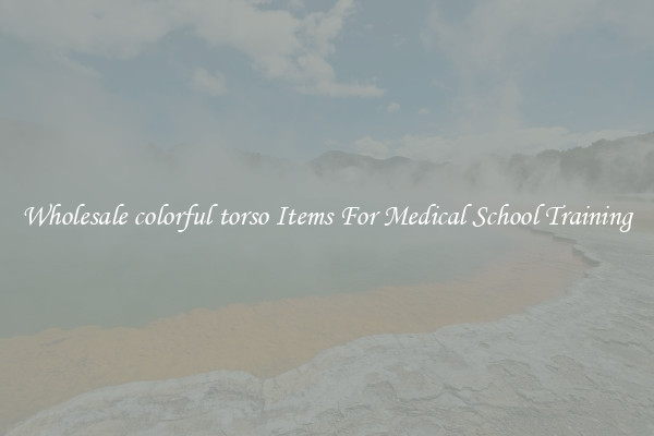 Wholesale colorful torso Items For Medical School Training