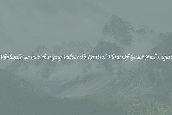 Wholesale service charging valves To Control Flow Of Gases And Liquids