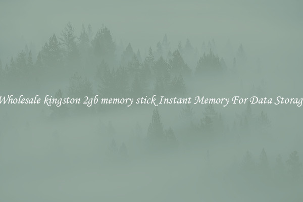 Wholesale kingston 2gb memory stick Instant Memory For Data Storage