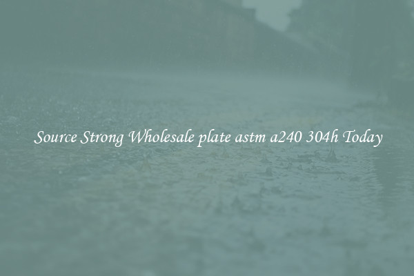 Source Strong Wholesale plate astm a240 304h Today