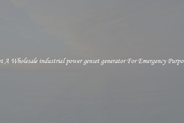 Get A Wholesale industrial power genset generator For Emergency Purposes