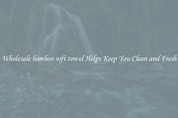 Wholesale bamboo soft towel Helps Keep You Clean and Fresh