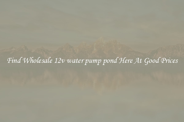 Find Wholesale 12v water pump pond Here At Good Prices