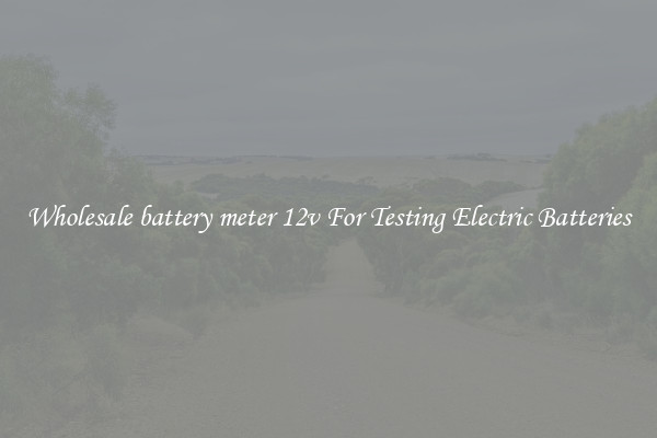 Wholesale battery meter 12v For Testing Electric Batteries