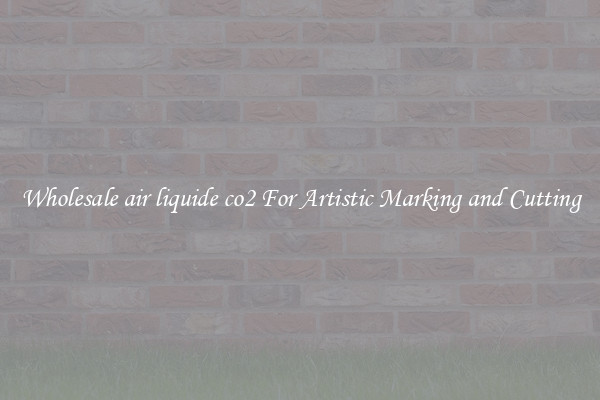 Wholesale air liquide co2 For Artistic Marking and Cutting