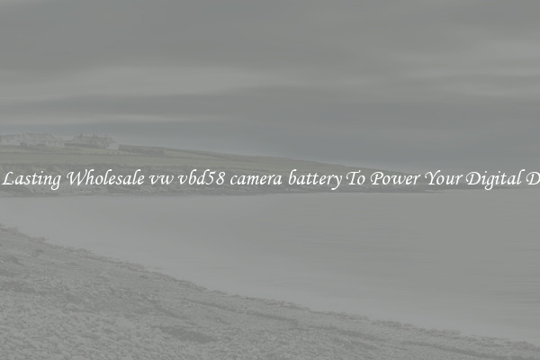 Long Lasting Wholesale vw vbd58 camera battery To Power Your Digital Devices