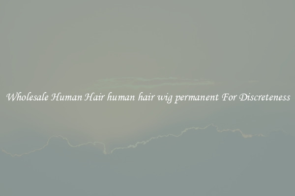 Wholesale Human Hair human hair wig permanent For Discreteness