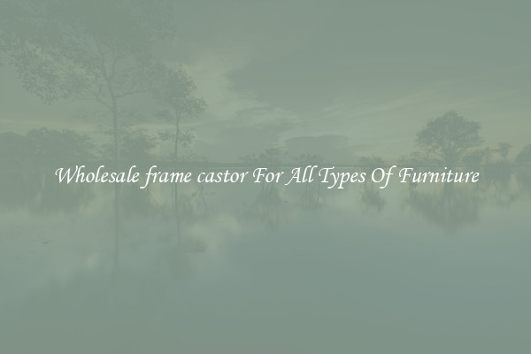 Wholesale frame castor For All Types Of Furniture