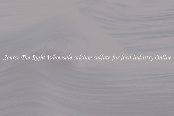 Source The Right Wholesale calcium sulfate for food industry Online