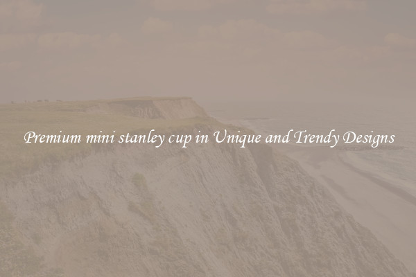 Premium mini stanley cup in Unique and Trendy Designs