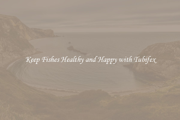 Keep Fishes Healthy and Happy with Tubifex