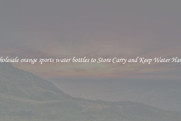 Wholesale orange sports water bottles to Store Carry and Keep Water Handy