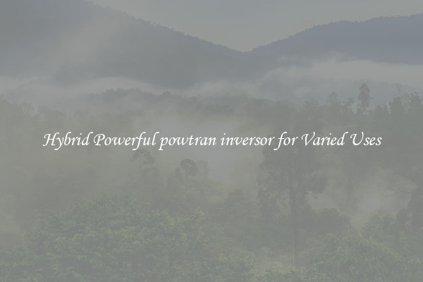 Hybrid Powerful powtran inversor for Varied Uses