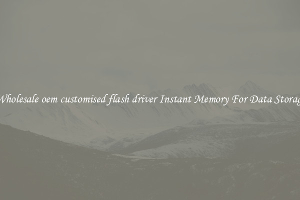 Wholesale oem customised flash driver Instant Memory For Data Storage