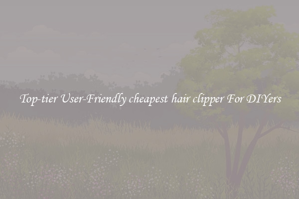 Top-tier User-Friendly cheapest hair clipper For DIYers