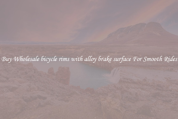 Buy Wholesale bicycle rims with alloy brake surface For Smooth Rides