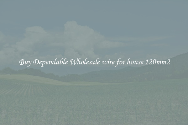 Buy Dependable Wholesale wire for house 120mm2