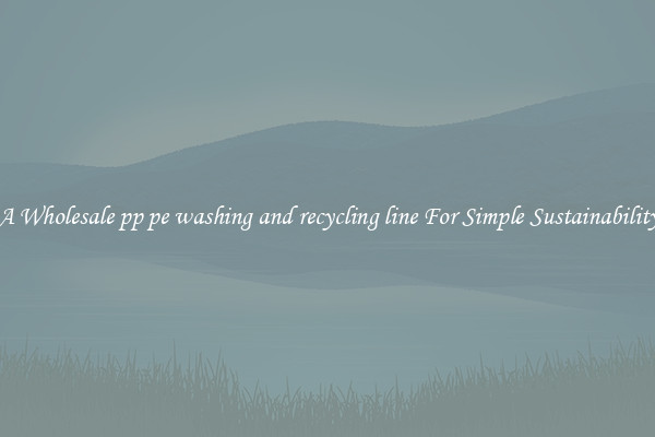  A Wholesale pp pe washing and recycling line For Simple Sustainability 