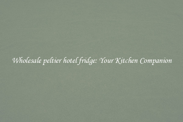 Wholesale peltier hotel fridge: Your Kitchen Companion