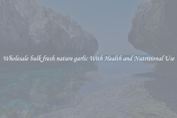 Wholesale bulk fresh nature garlic With Health and Nutritional Use