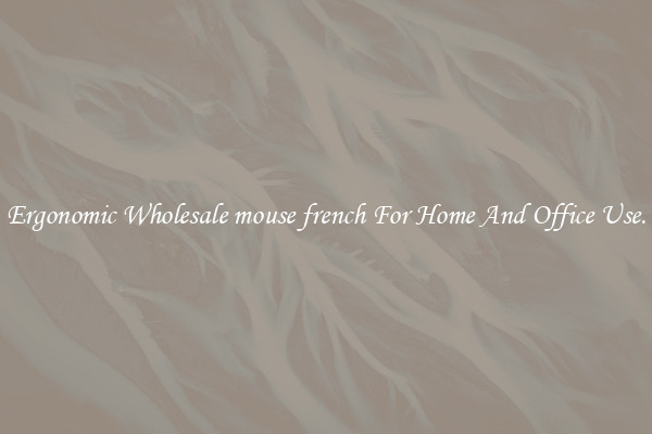 Ergonomic Wholesale mouse french For Home And Office Use.