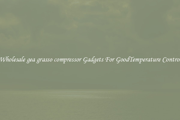 Wholesale gea grasso compressor Gadgets For GoodTemperature Control