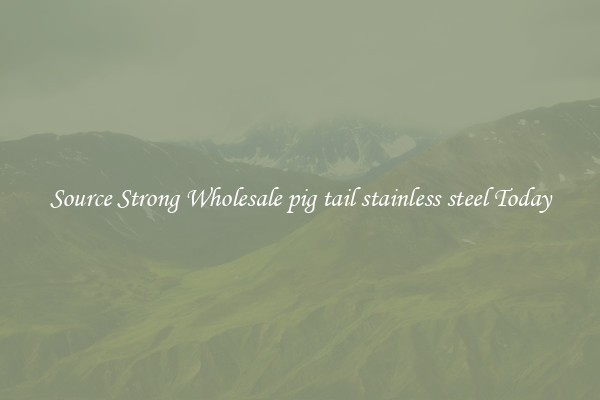 Source Strong Wholesale pig tail stainless steel Today